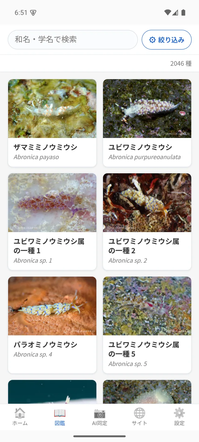 世界のウミウシの図鑑の画面